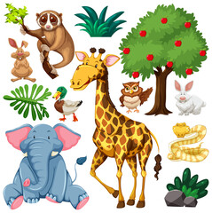 Set of cute wild animal and nature