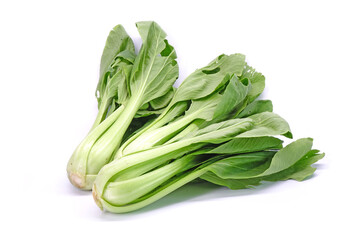 Bok choy isolated on white background.   Chinese cabbage (Bok choy, Pak choi or Pok choi) fresh green leaves vegetable from Organic vegetable farm