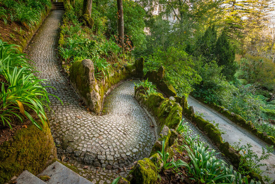 Breathtaking view of tropical garden with tree ferns (Cyatheales) and giant trees on gloomy day. Queen's Fern Valley, Pena Park, Sintra - Cascais Natural Park, Lisbon Region, Portugal, Europe.