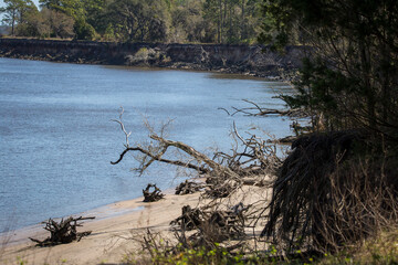 View of the water and the driftwood beach at Crooked River State Park in Georgia