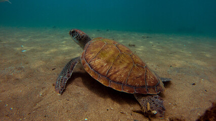 DCIM\100GOPRO\G0369641.