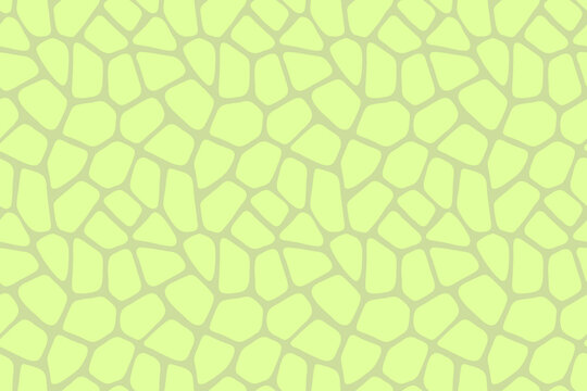 Abstract light green seamless pattern. Plant biological cell artwork background. Vector illustration.