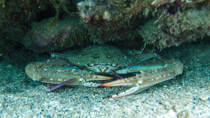 DCIM\100GOPRO\G0091456.