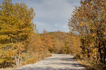 Fototapeta premium Road in the mountains