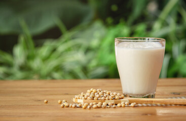 Glass of Soy Milk with soybean on wooden table and blur background with lighting in the morning,healthy concept.