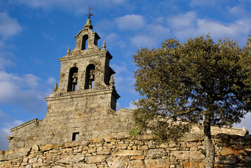 Fototapeta na wymiar old Church bells tower with an olive tree in front in the north of Spain