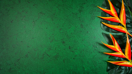 Tropical theme minimilism creative layout stylish background with bird of paradise flowers and...