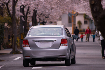 桜並木の住宅街を走行するシルバーの自動車