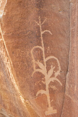 Navajo Petrogyphs
