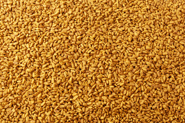 background of dry pet food for advertising