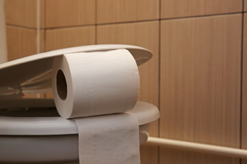 Roll of toilet paper in water closet