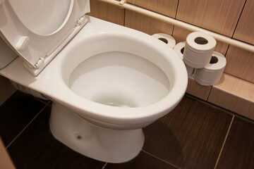 Toilet bowl and rolls of paper in restroom
