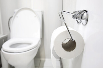 Roll of toilet paper in water closet