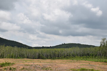 Obraz premium The distribution of clouds above the agricultural area.