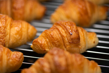 できたてミニクロワッサン