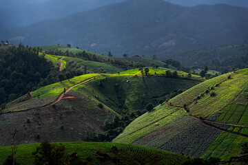 Mountain with farm under the sun light make contrast in Doi Inthanon, Chiang Mai, Thailand.