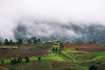 Fototapeta na wymiar Countryside village on mountain near forest with fog in Doi Inthanon, Chiang Mai, Thailand.