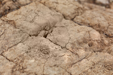 Texture of dry soil, closeup view