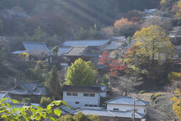 長谷寺