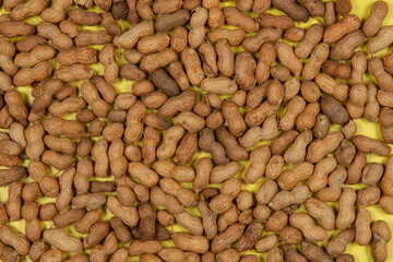 heap of peanuts in shell