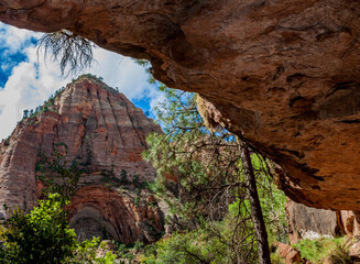 Alcove Embedded in the Navajo Sandstone Walls of Pipe Creek Canyon, Canyon Overlook Canyon Trail, Ziion National Park, Utah, USA