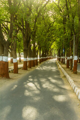 Obraz premium A Boulevard on a Gandhinagar road