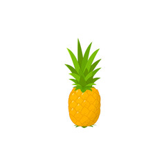 flat design of fresh pineapple fruit