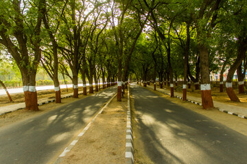 Fototapeta premium A Boulevard on a Gandhinagar road