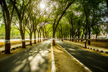 A Boulevard on a Gandhinagar road