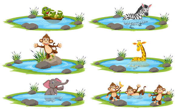 Group of wild animals in pond cartoon character on white background