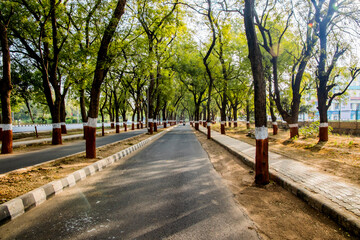 A Boulevard on a Gandhinagar road