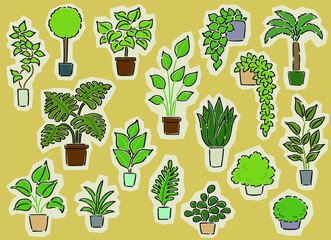 Set of  vector cartoon illustration, foliage plant