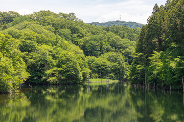 Fototapeta na wymiar 新緑美しいあいち海上の森で神秘的なリフレクションが映える池