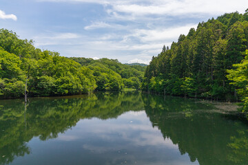 Fototapeta na wymiar 深山の池に映し出される虚像の大自然（愛知県 海上の森）
