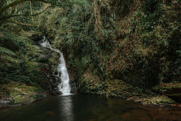 waterfall in the forest