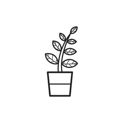 Potted plant