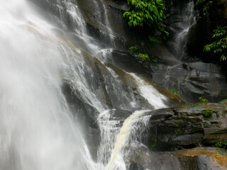 Waterfall close up detail at Chuao El Chorreron in Venezuela