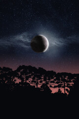 Fototapeta na wymiar Lua sobre floresta de pinheiros araucárias e céu estrelado