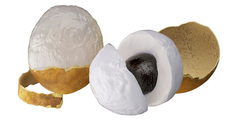 litchi
