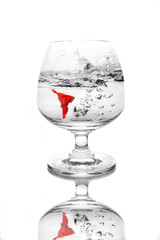 Colorful Fighting fish in a wine glass.