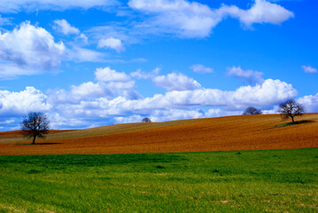 Fototapeta na wymiar Landscape of green grass with brown land and beautiful clouds