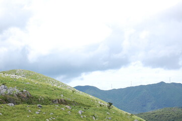 夏の秋吉台