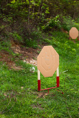 Cardboard Shooting Target fighting style.