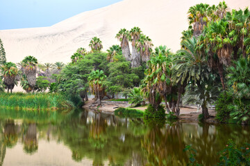 Fototapeta na wymiar Oasis of Huacachina, Peru