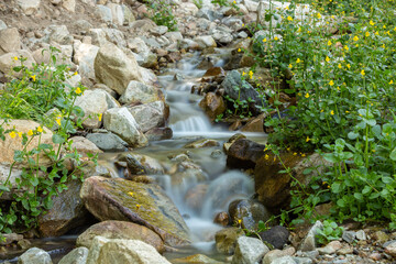 flowing Waterfall in a creek