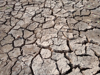 dry cracked earth