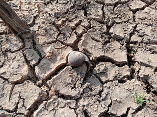 dry cracked earth