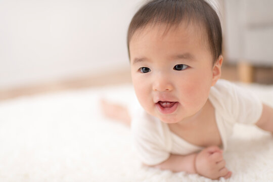 128 件の最適な 生後8ヶ月 画像 ストック写真 ベクター Adobe Stock 128 件の最適な 生後8ヶ月 画像 ストック写真 ベクター Adobe Stock
