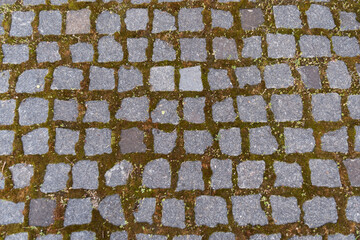 Abstract background, old paving stones with moss closeup