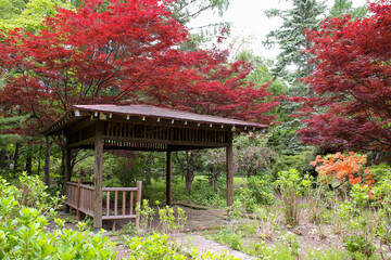 植物、自然、花、緑、庭園、公園、庭、花壇、満開、フラワー、葉、樹木、母屋